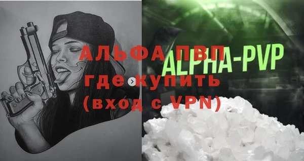 амф Вяземский