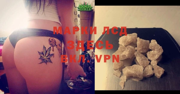 амф Вяземский
