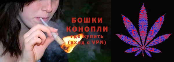 амф Вяземский