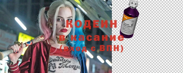 амф Вяземский