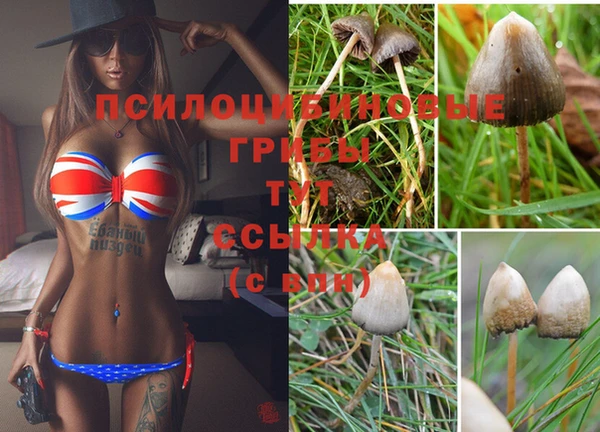 альфа пвп Сясьстрой