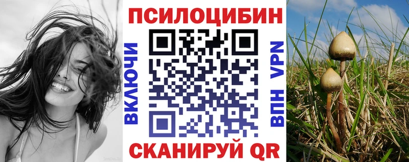 наркотики  Мариинск  Галлюциногенные грибы MAGIC MUSHROOMS 