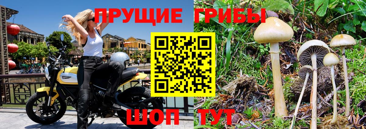 Псилоцибиновые грибы Psilocybine cubensis  Вход с VPN  Псилоцибиновые грибы Psilocybe  Мариинск 