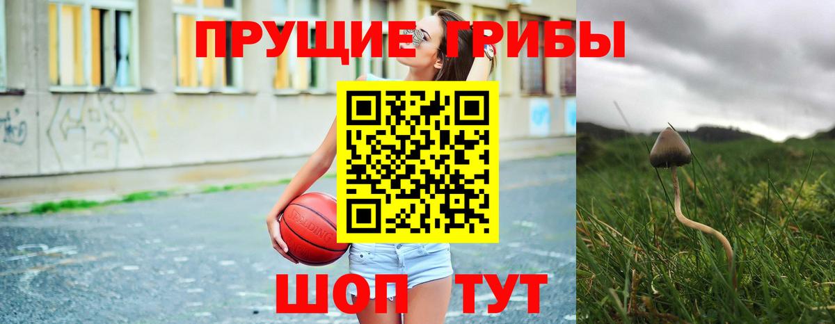 Псилоцибиновые грибы мицелий Мариинск